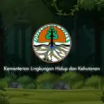 SimulasiCAT.ID - Persiapan Dini CPNS 2026: Tes Fisik SKB Non-CAT Masih Jadi Tantangan di Sejumlah Instansi