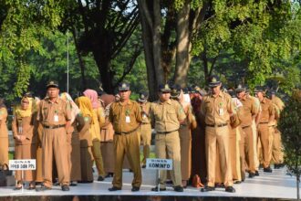 SimulasiCAT.ID - Kapan Penerimaan CPNS di Kabupaten Langkat 2026? Ini Bocoran Jadwal, Formasi, dan Penjelasan Resmi dari BKD
