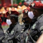 SimulasiCAT.ID - Syarat Masuk STIN 2026 Lengkap: Jurusan yang Bisa Daftar, Kuota, Jadwal, Program Studi, hingga Cara Pendaftaran
